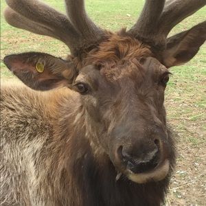 Meet your Posher, Tim